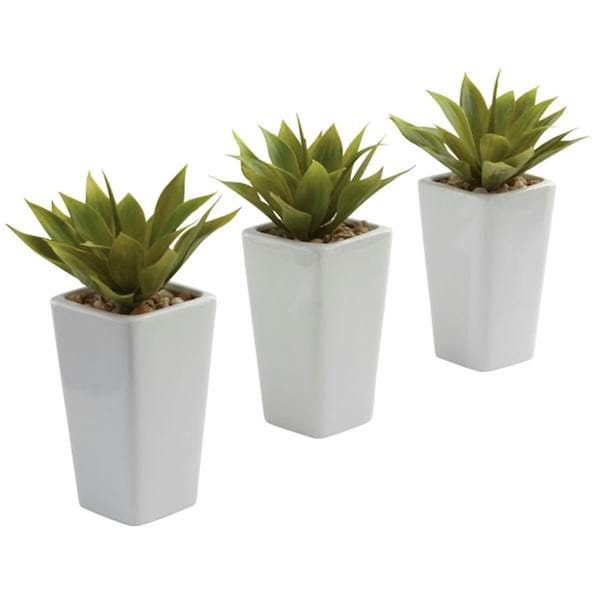 Nearly Natural Mini Agave with Planter - Set of 3 White, 3PK 4972-S3 - main